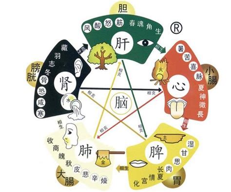 病氣|《中醫詞典》解釋「病氣」的意思